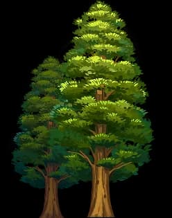 Sequoia's Saplings